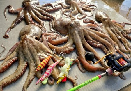 名古屋港沖タコ釣り！