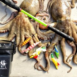 名古屋港沖タコ釣り！