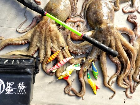名古屋港沖タコ釣り！