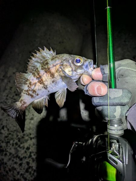 タフコンメバリング