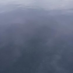 新リグでアジング　尺アジゲット