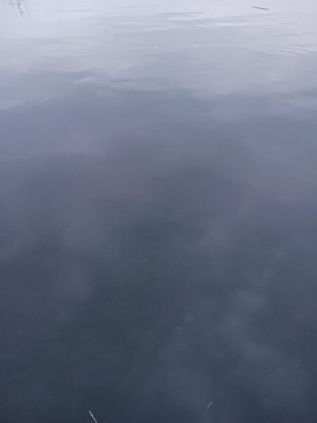 新リグでアジング　尺アジゲット