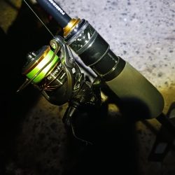 久し振りのジグ単アジング