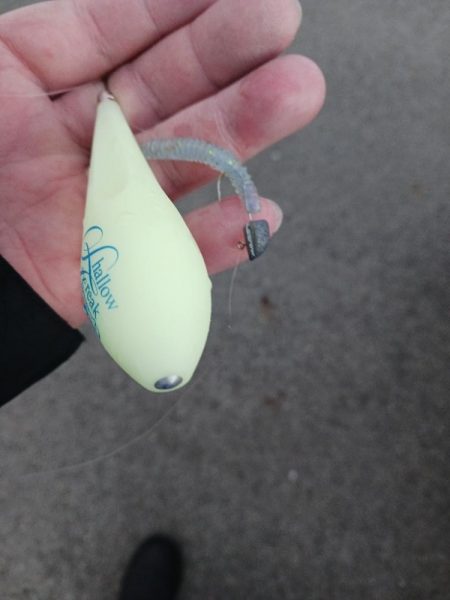 爆風アジング 尺有