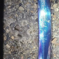 何とかボウズ回避