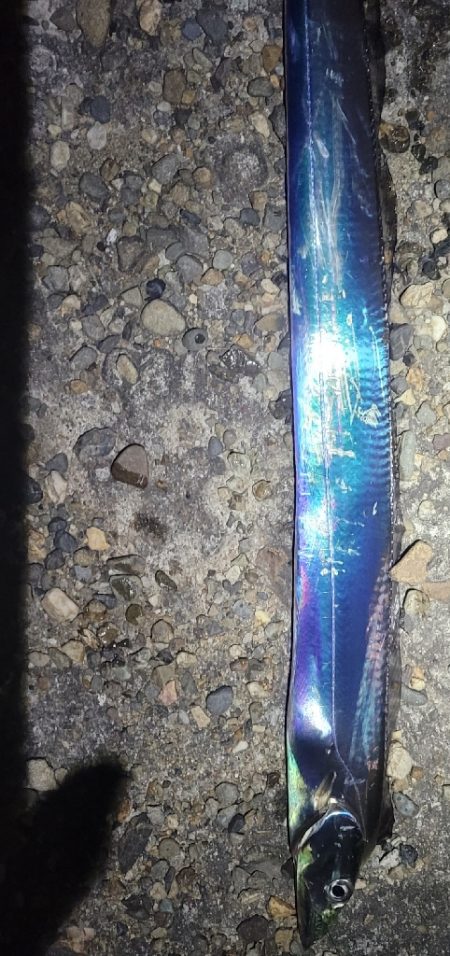 何とかボウズ回避