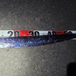 運良く1匹キャッチ