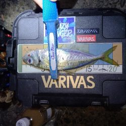 アジングガイド