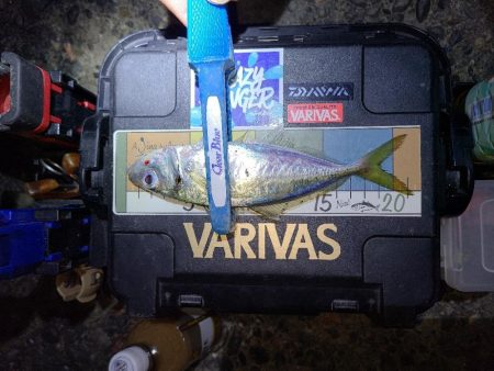 アジングガイド