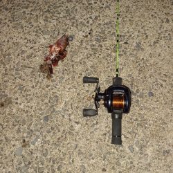 五島列島からの宮崎大移動