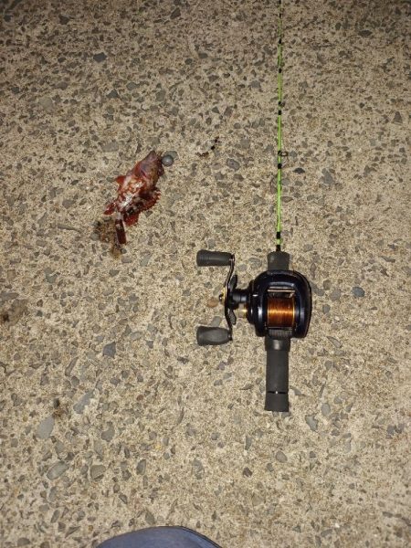 五島列島からの宮崎大移動