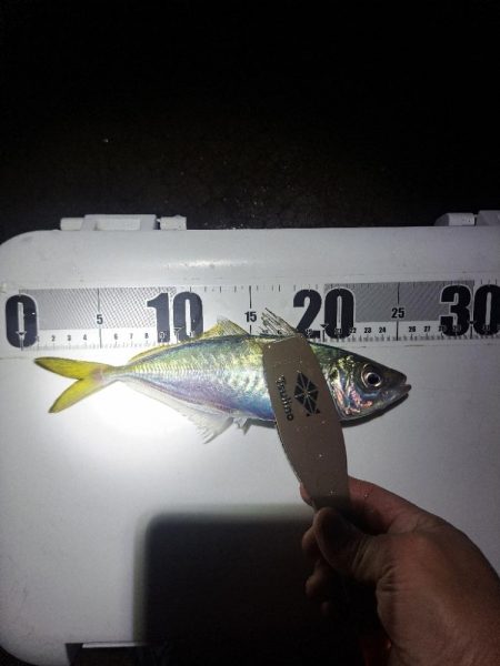 やっぱりカゴ天秤