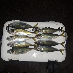 地合い30分で…