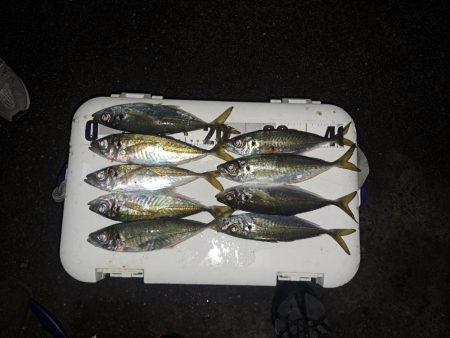 地合い30分で…