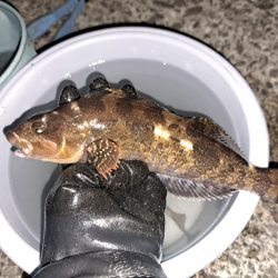 大寒の時期にでかいキス