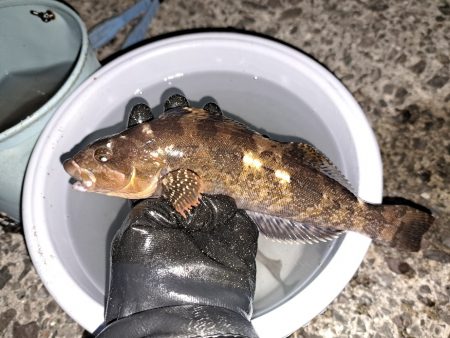 大寒の時期にでかいキス