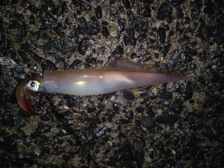 水温低くなってきた