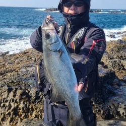 和歌山市江(吉丸渡船)でグレ釣り