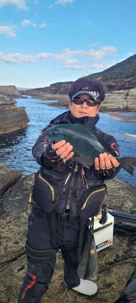 和歌山市江（吉丸渡船）でグレ釣り