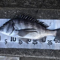 イチノ兄弟、釣果!