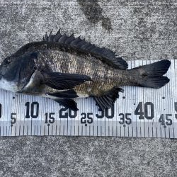 イチノ兄弟、釣果!