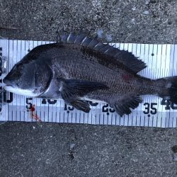 イチノ兄弟、釣果!