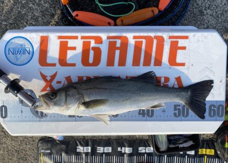 チヌフカセ釣り