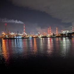 予想外の釣果 真冬のアナゴ釣り