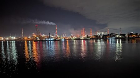 予想外の釣果 真冬のアナゴ釣り