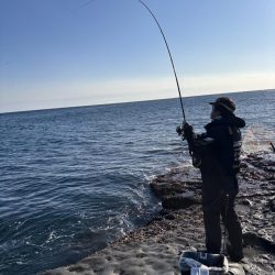 和歌山市江(吉丸渡船)でグレ釣り