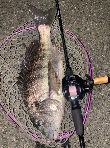 仕事帰り15分チニング！