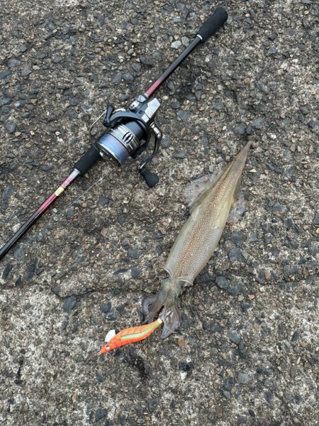 初心者でも釣れた😱