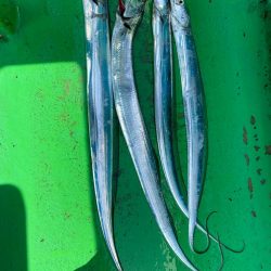 初釣りは船タチウオ