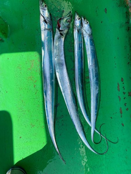 初釣りは船タチウオ