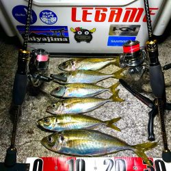 シーズンラストアジング？