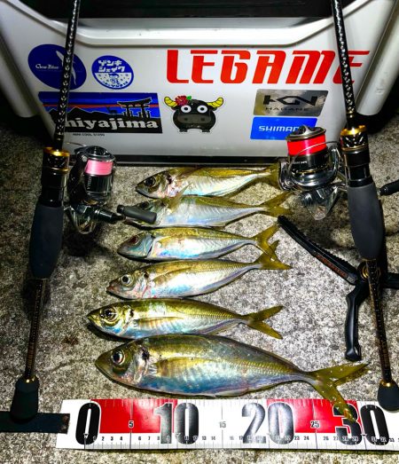 シーズンラストアジング？