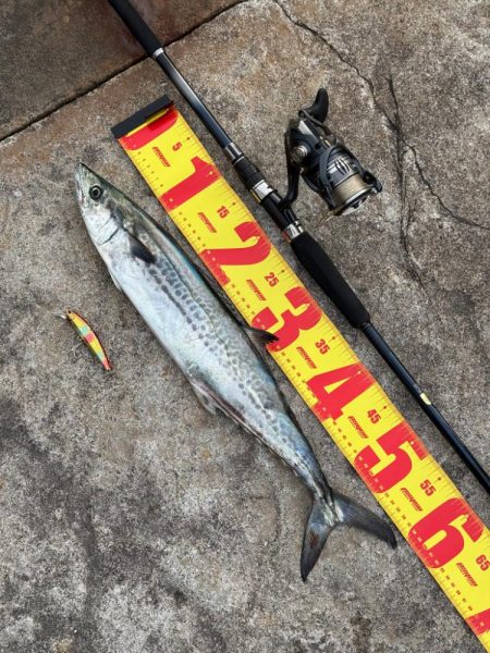 どうも渋い中、、なんとか一本