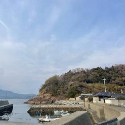 まさかのアジ 0匹………