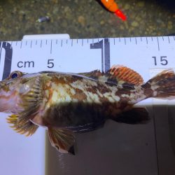 ハッピーニューイヤーは新釣法で!