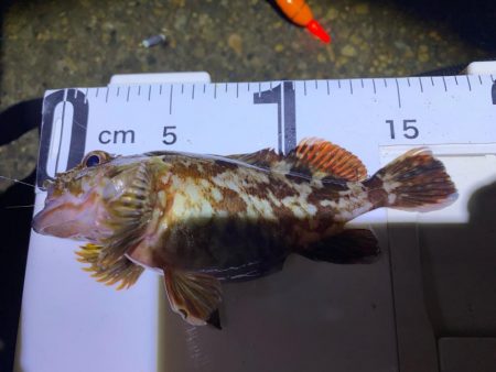 ハッピーニューイヤーは新釣法で!