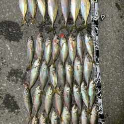 爆釣から始まる釣り初め