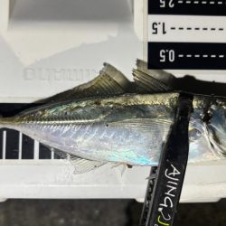 やっとこさ!2 笑笑