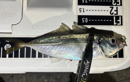 やっとこさ！2　笑笑