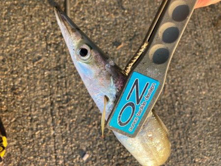 朝マズメにジャンボカマスGET