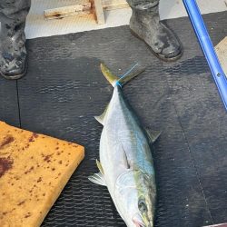 ジギングイベント参加