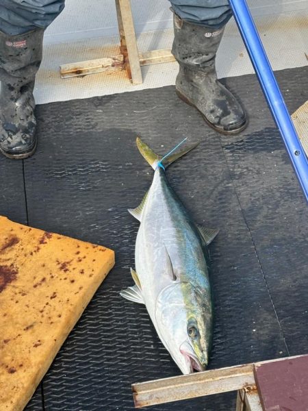 ジギングイベント参加