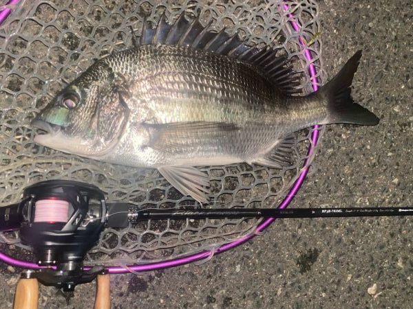 仕事帰り10分チニングチャレンジ！