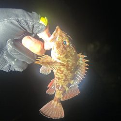 ライトロックゲーム