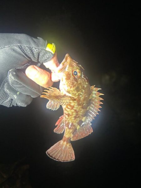 ライトロックゲーム