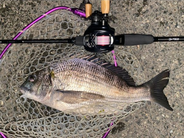 今夜もチニング！